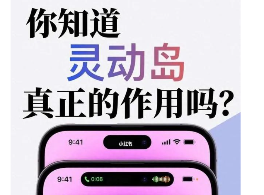 iphone灵动岛功能怎么设置?全凭用户如何设置-微丽宝